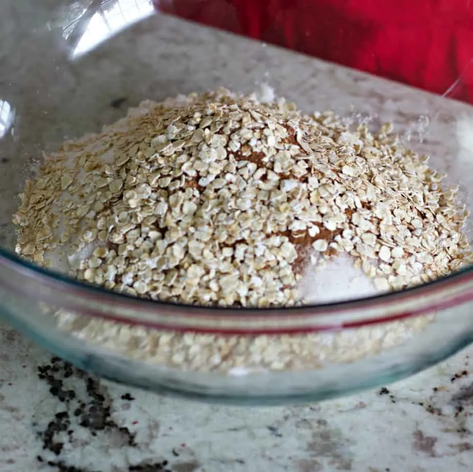 Fresh Apple Spice Muffins Recipe 15 Add Oats And Spices