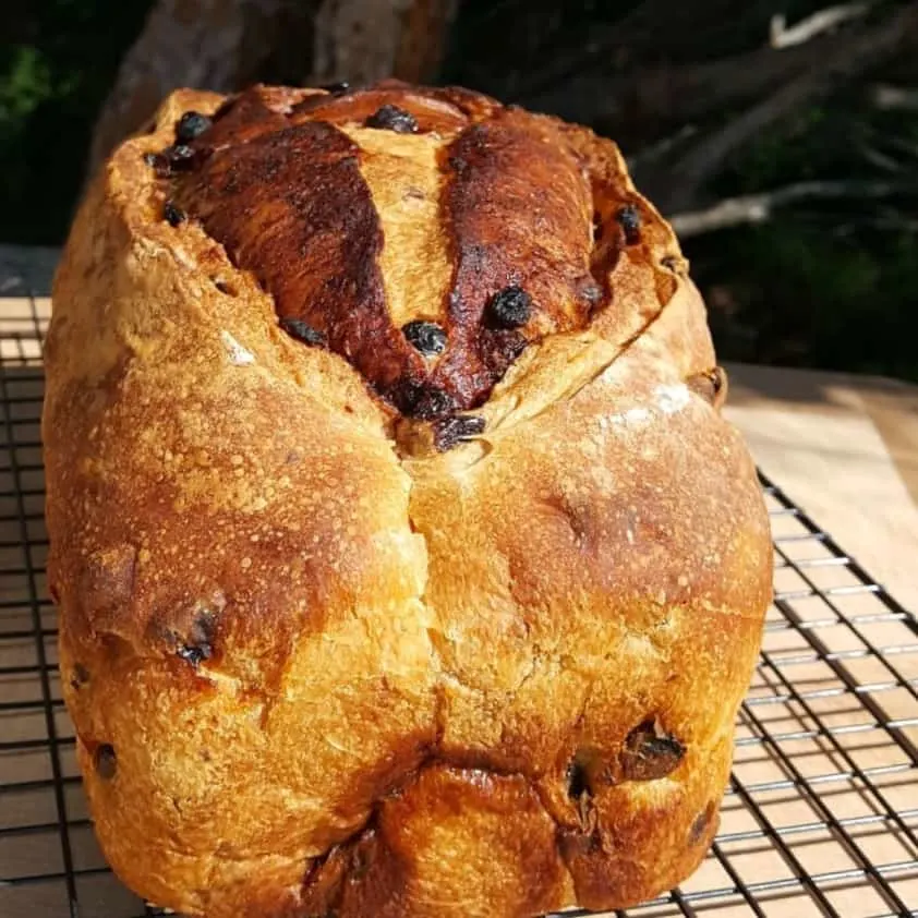 Sourdough Cinnamon Raisin Bread