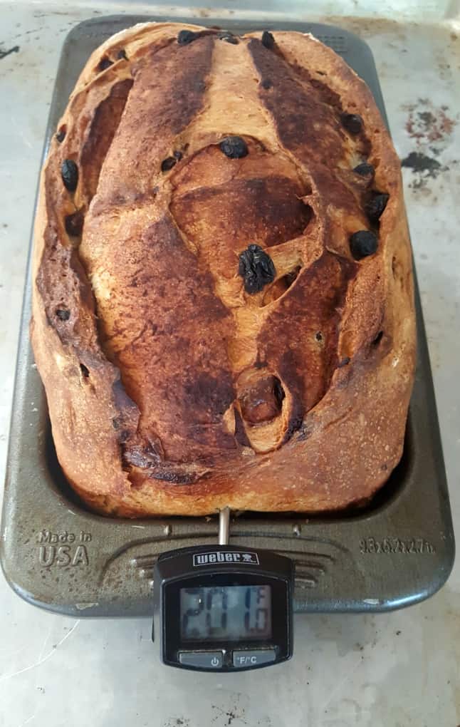 Delicious Soft Sourdough Cinnamon Bread 27 Check Bread Temperature. Sourdough Cinnamon Raisin Bread