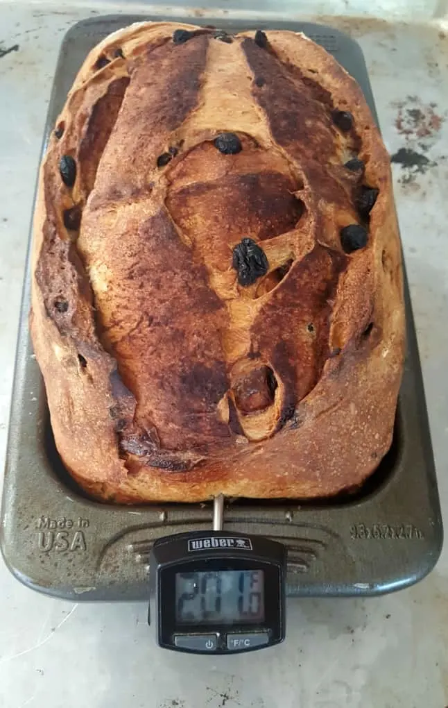 Check Bread Temperature. Sourdough Cinnamon Raisin Bread