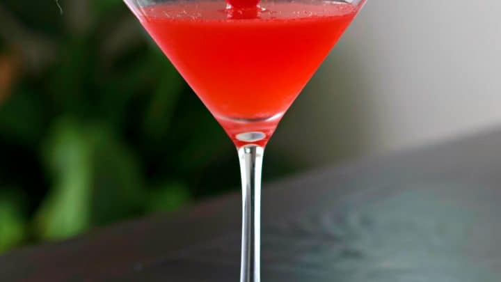 Bacardi Cocktail Recipe With Bacardi Rum: 12 Bacardi Cocktail