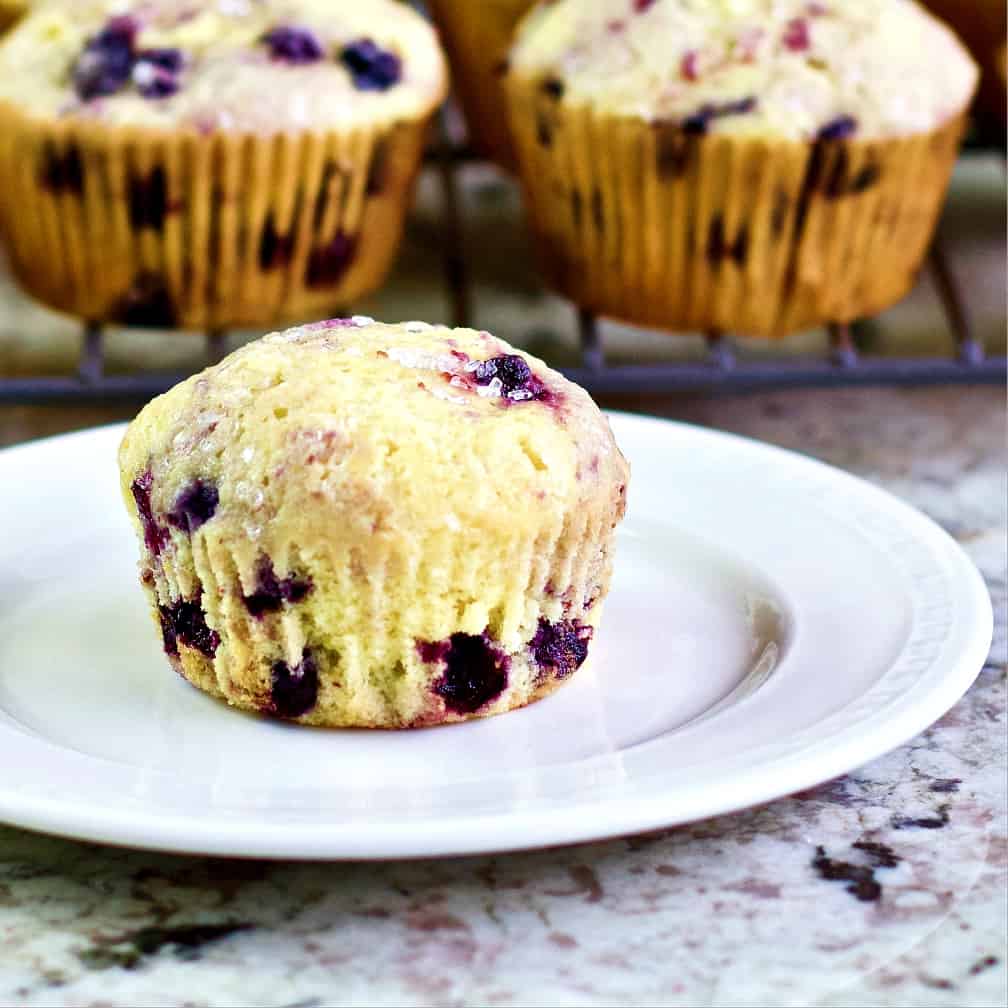 Lemon Blueberry Muffins-Plated