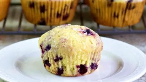 Lemon Blueberry Muffins