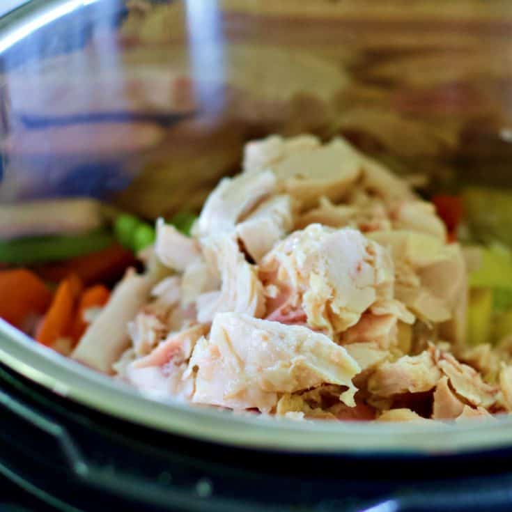 Instant Pot Rotisserie Chicken Soup Recipe Homemade Food Junkie