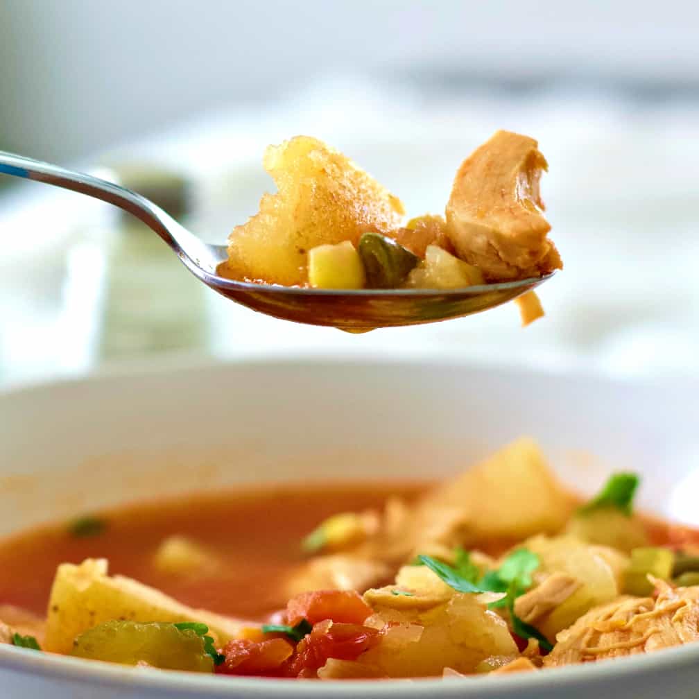 Instant Pot Rotisserie Chicken Soup Recipe | Homemade Food Junkie