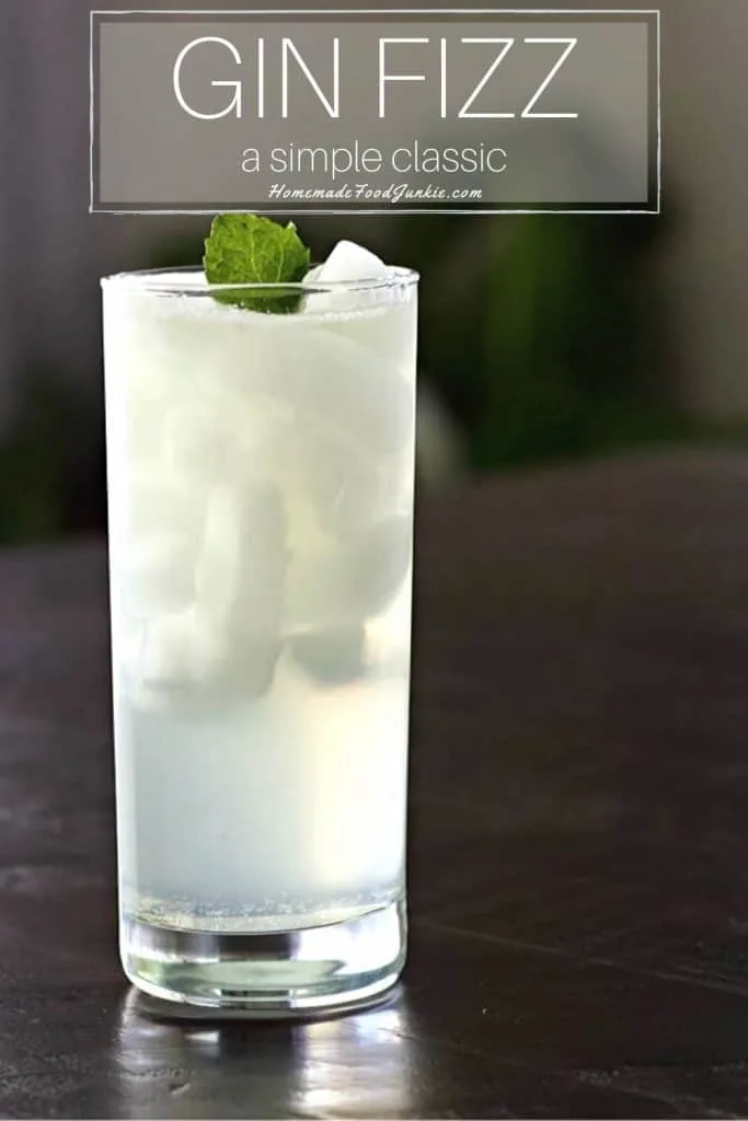 Gin Fizz Cocktail-Pin Image