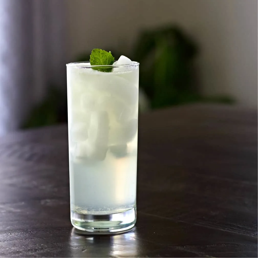 Gin Fizz Cocktail On A Dark Table