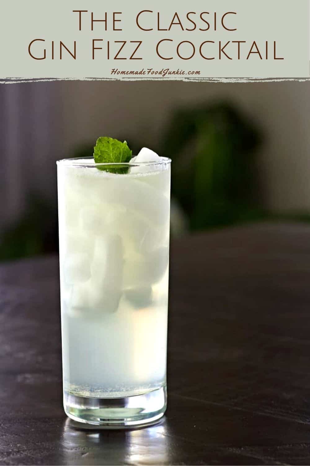 Classic Gin Fizz Recipe and Variations Homemade Food Junkie