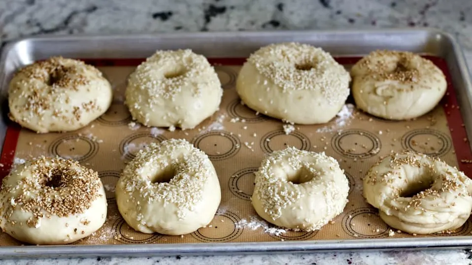 Raw Sourdough Bagels On Baking Pan