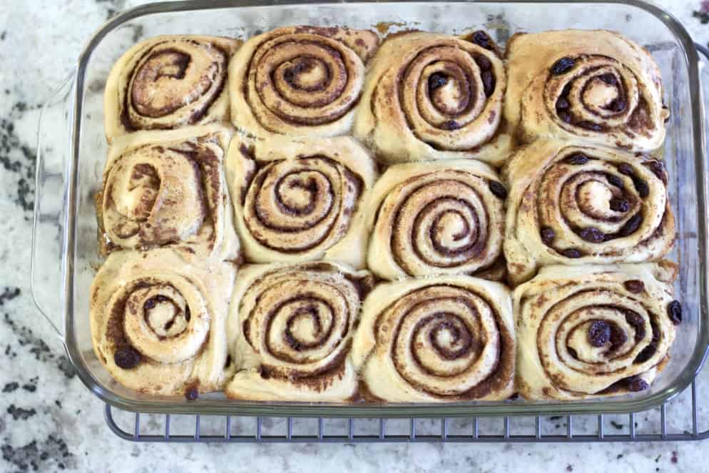 Freshly Baked Sourdough Rolls