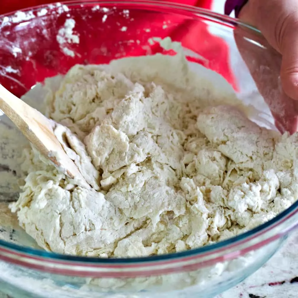 Stir Into A Cohesive Dough