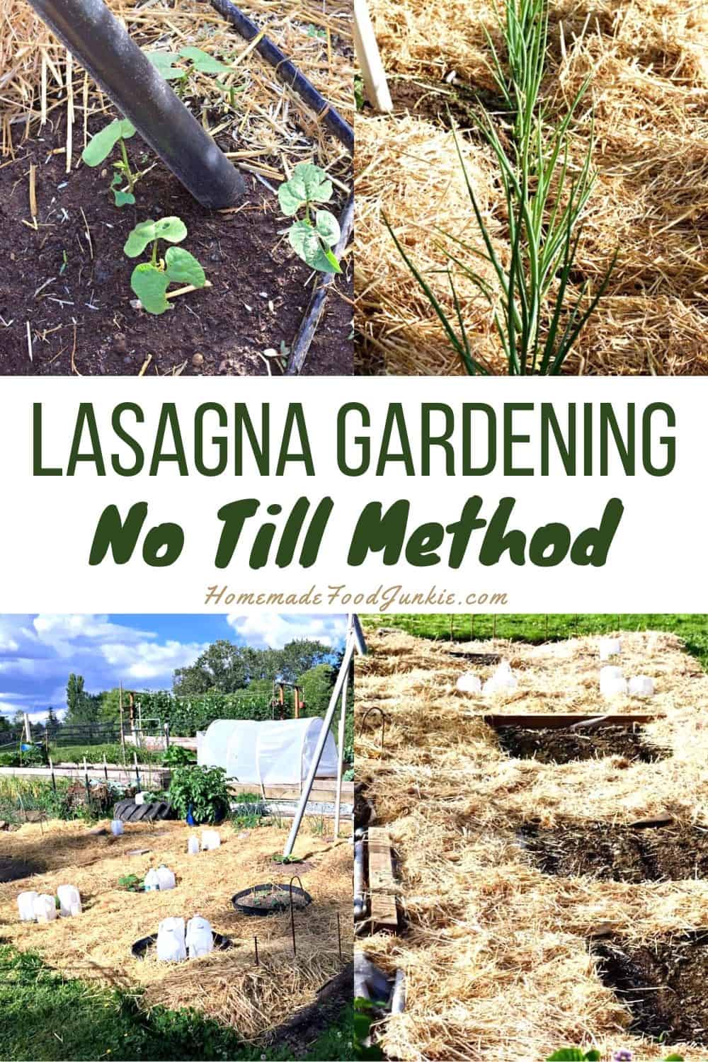 Lasagna Gardening: Save Garden Labor And Water While Improving The Soil! Http://Homemadefoodjunkie.com Lasagna Gardening No Till Method-Pin Image