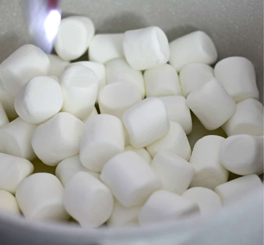 Add Marshmallows To Melted Butter-Pumpkin Rice Krispie Treats