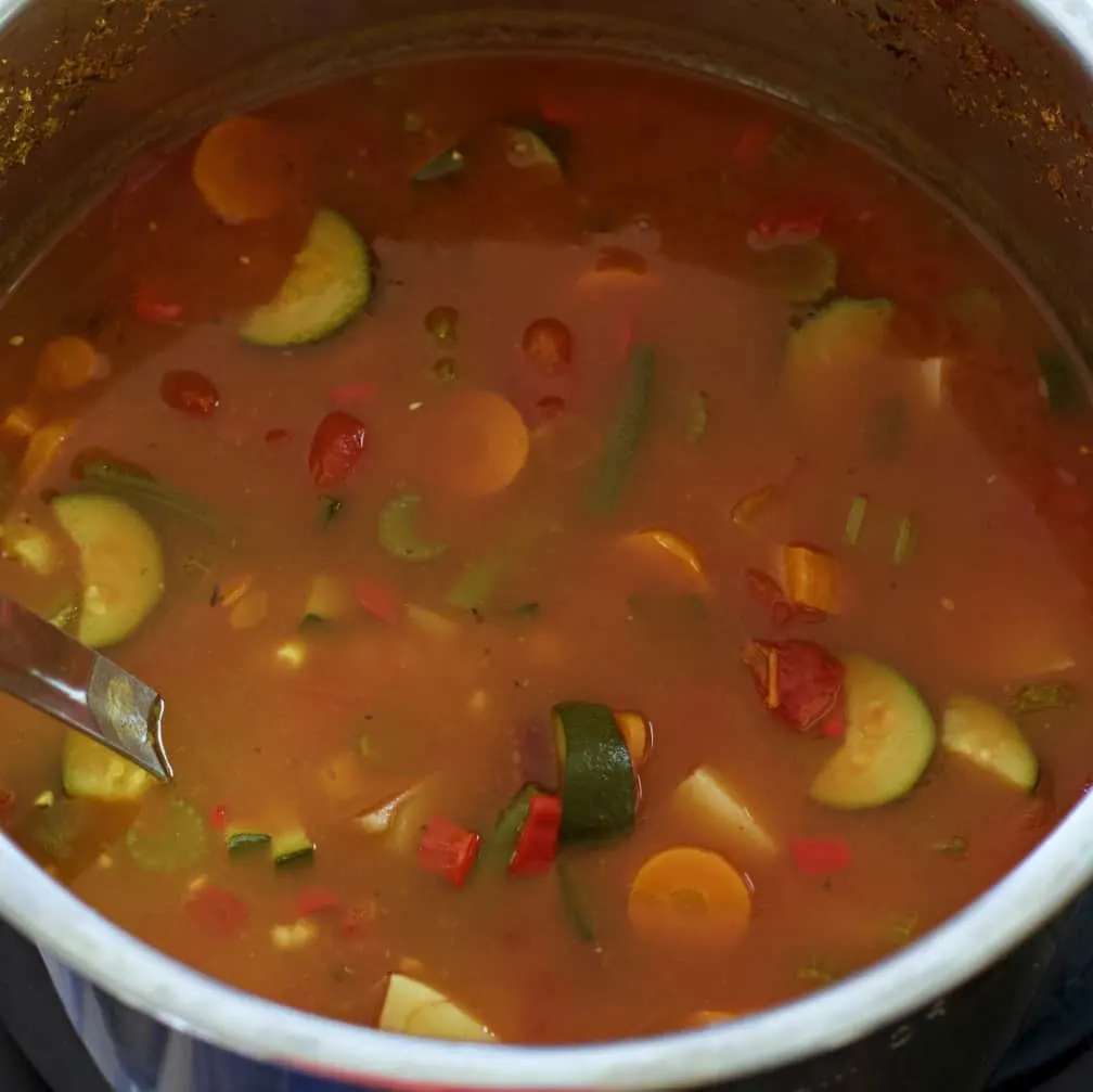 Instant Pot Vegetable Soup In Instant Pot