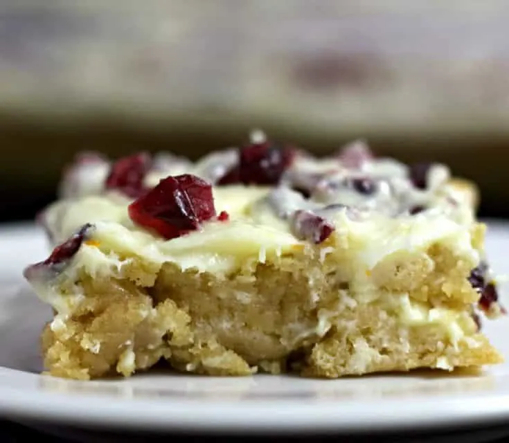 Cranberry Bliss Bars Side
