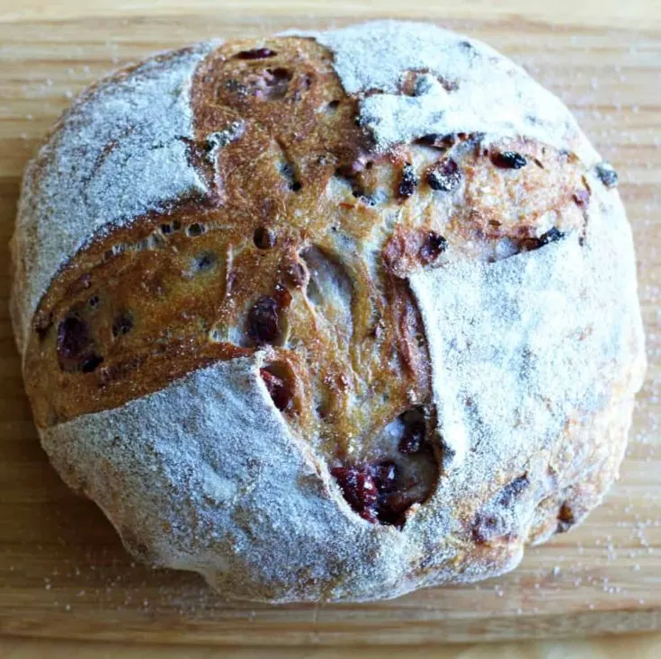 Cranberry Walnut Sourdough Bread 1