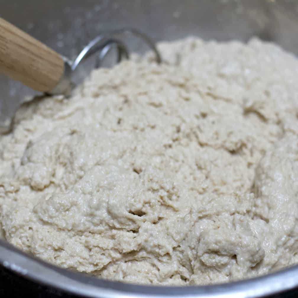 Dough Mixed-Autolyse Stage