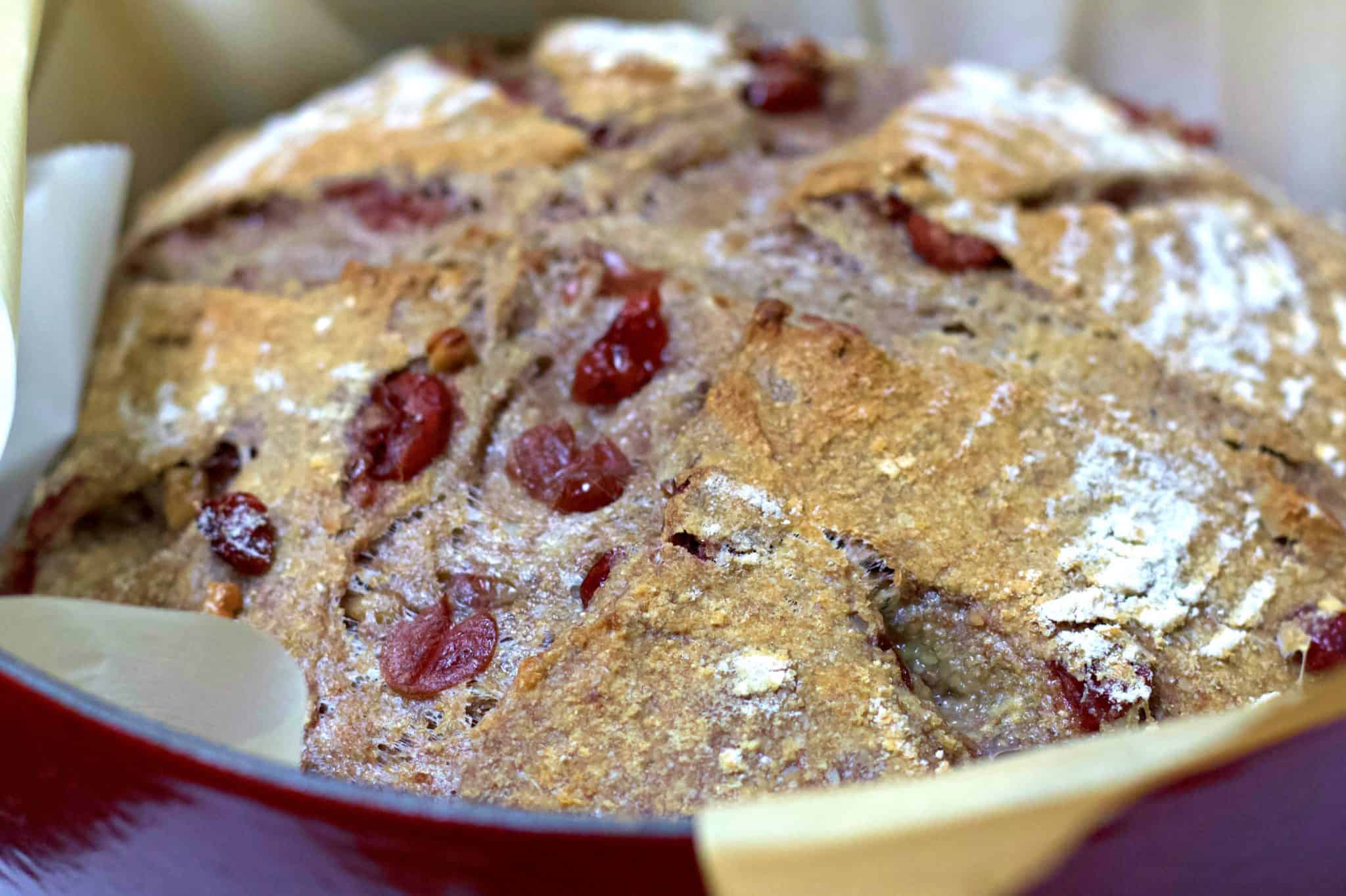 Cranberry Walnut Bread Sourdough Recipe Homemade Food Junkie