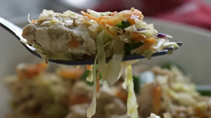 Egg Roll In A Bowl Keto Recipe 8 Forkful- Egg Roll In A Bowl