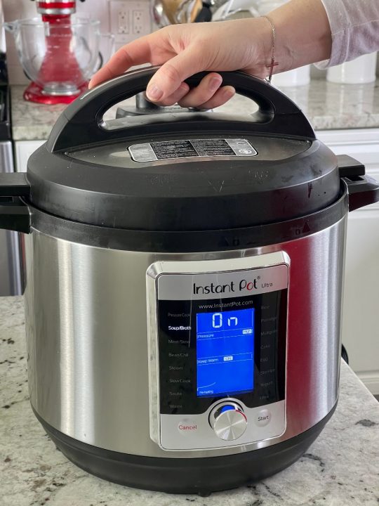 Instant Pot Chicken and Rice Soup Recipe Homemade Food Junkie