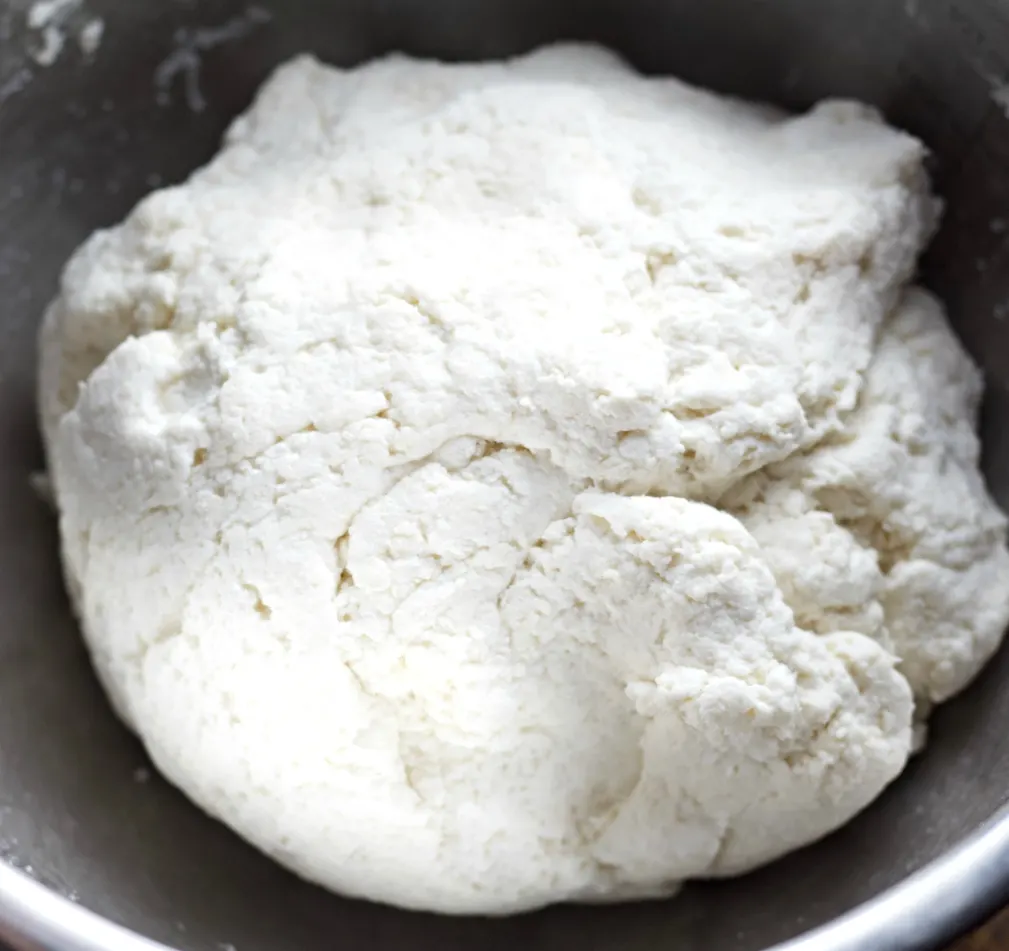 2 Ingredient Bagel Dough Ball