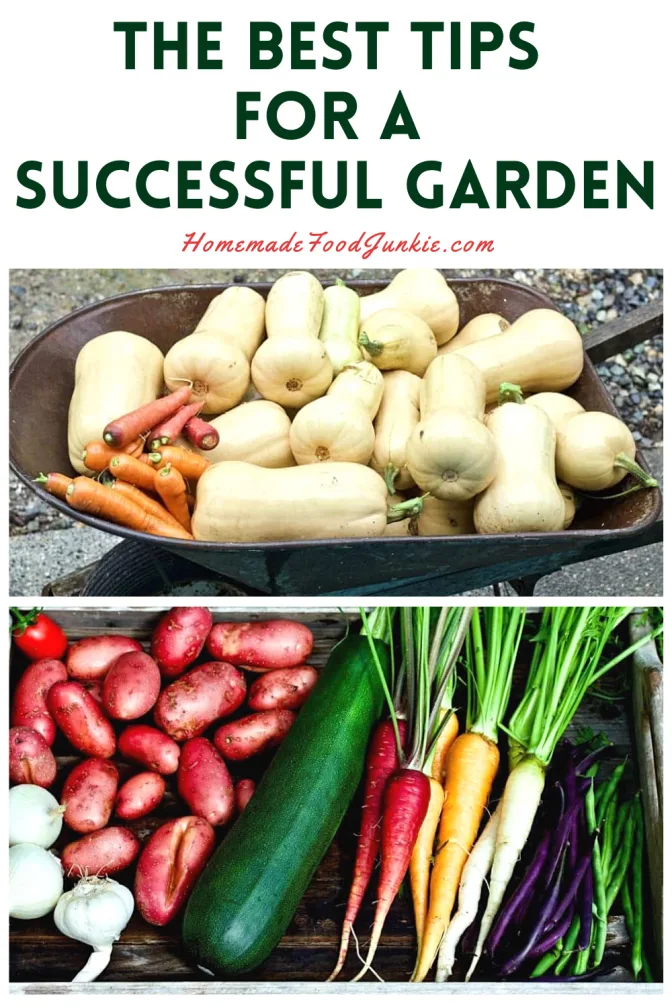 9 Tips For Gardening Success 14 The Best Tips For A Successful Garden-Pin Image