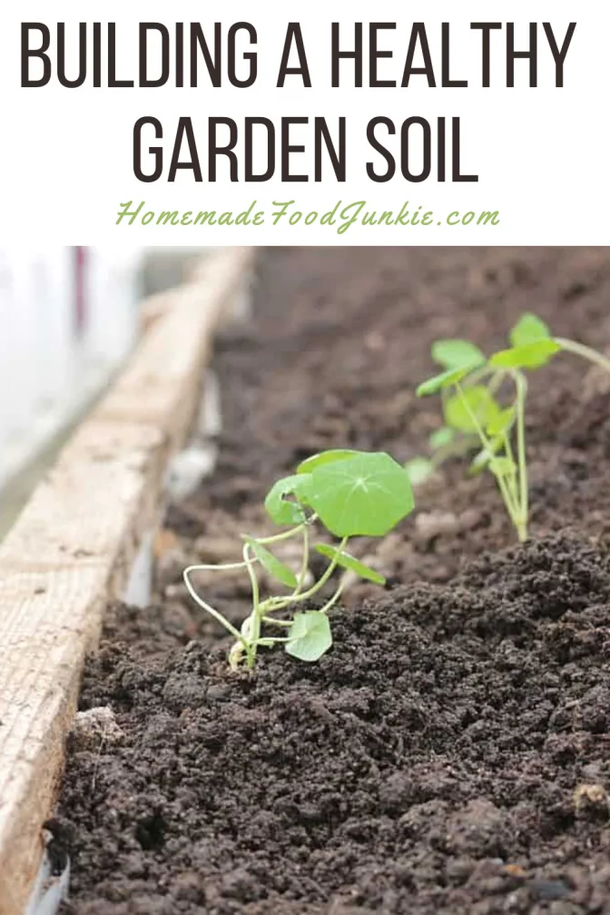 Building A Healthy Garden Soil-Pin Image