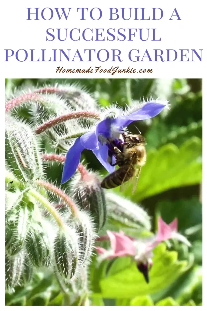 How To Build A Successful Pollinator Garden-Pin Image