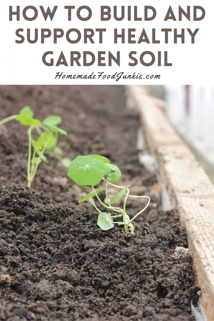 Build a Healthy Garden Soil! Homemade Food Junkie