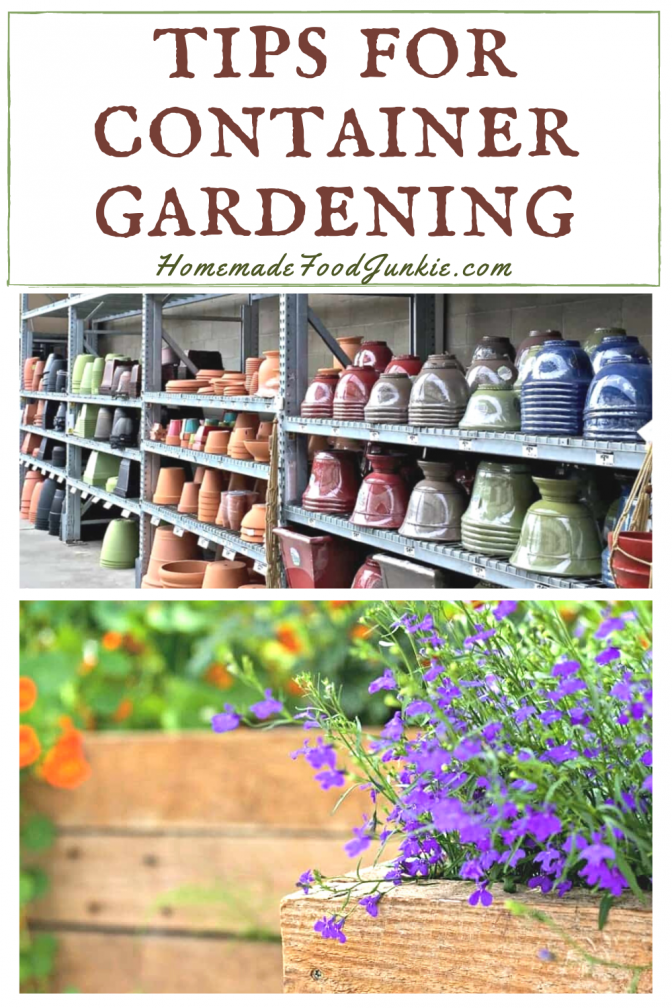 Simple Container Gardening Tips 16 Tips For Container Gardening-Pin Image