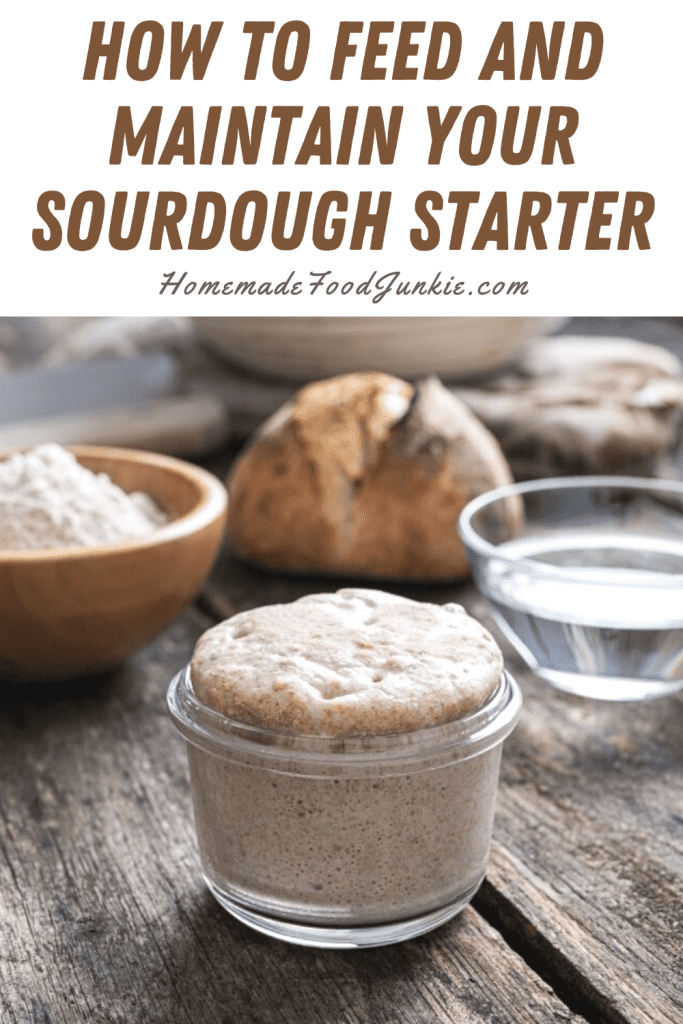 Maintaining a Sourdough Starter