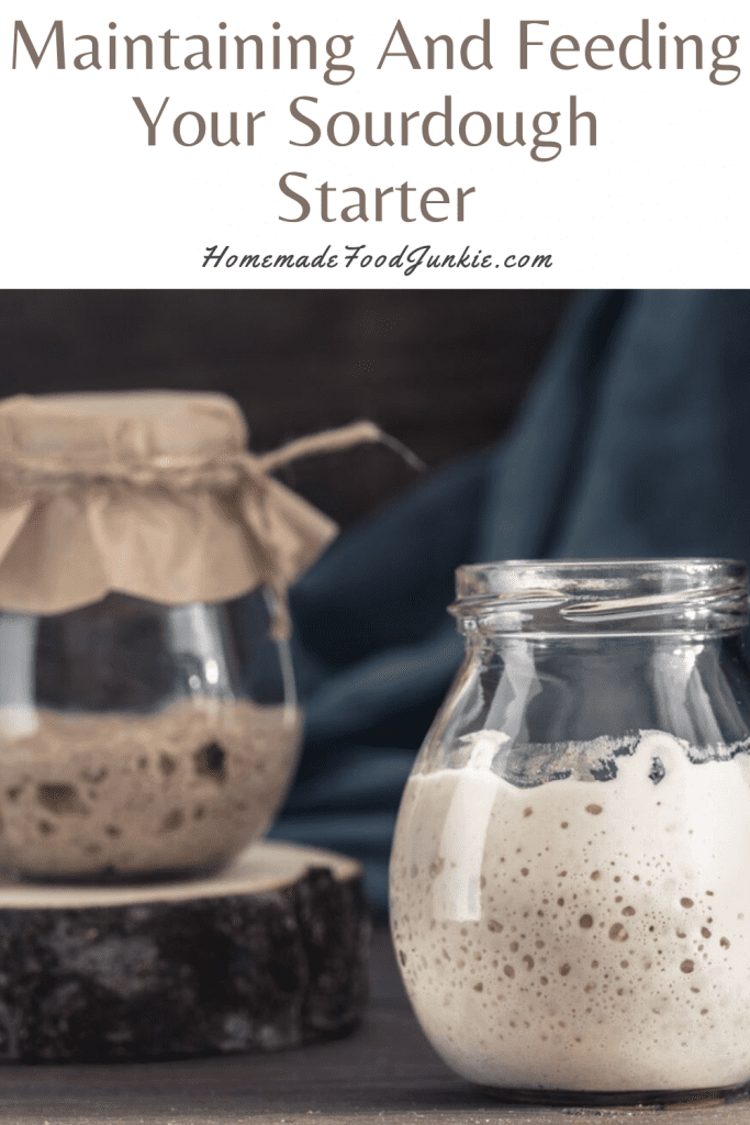 Maintaining And Feeding Your Sourdough Starter-Pin Image