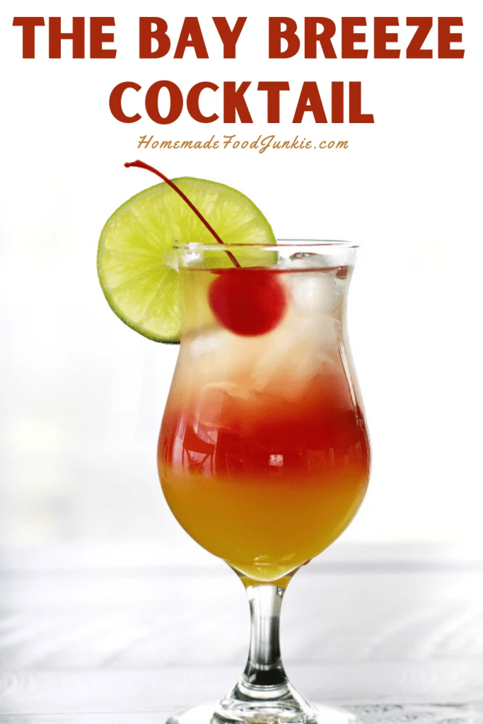 The Bay Breeze Cocktail-Pin Image