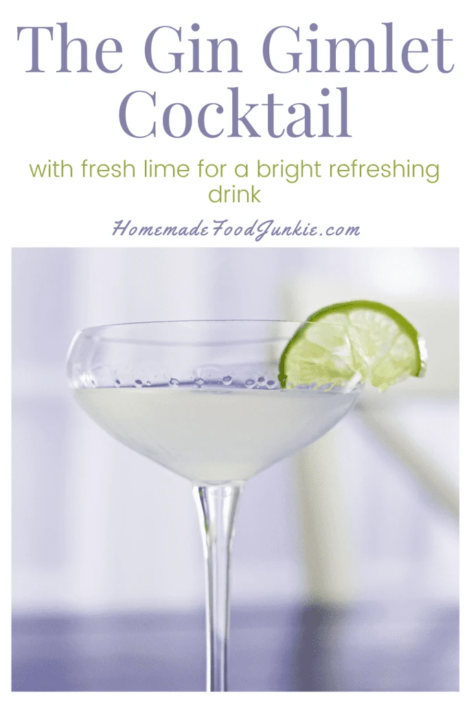 The Gin Gimlet Cocktail-Pin Image