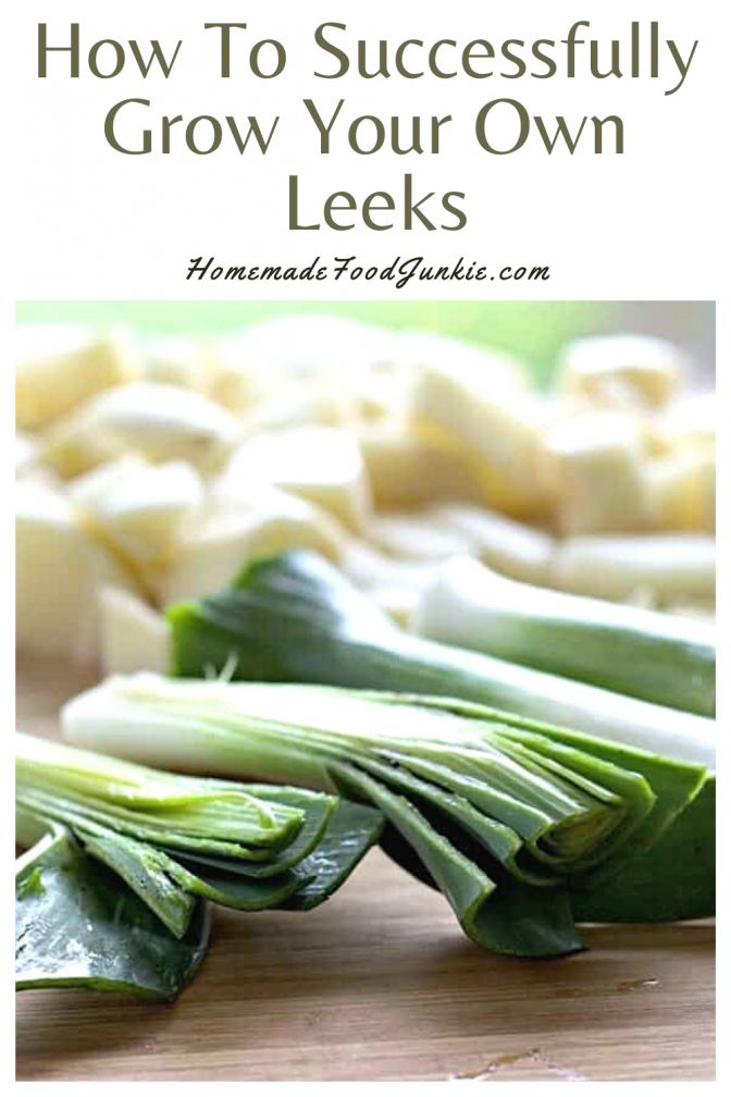 Grow Healthy Leeks easily in your Garden 12 How to successfully grow your own leeks-pin image