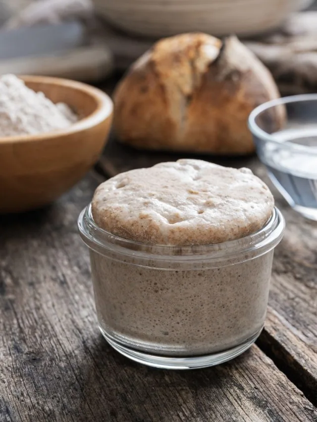 How to Revive Sourdough Starter (And When to Throw It Away) 6 sourdough starter with flour and water