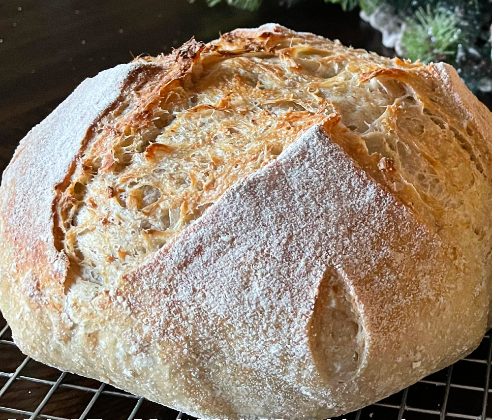 Oatmeal Bread- No Knead Sourdough Recipe 6 Sourdough Bread With Rolled Oats. Close Up Of Rice Flour On Crust And Caramelized Crust-Boule
