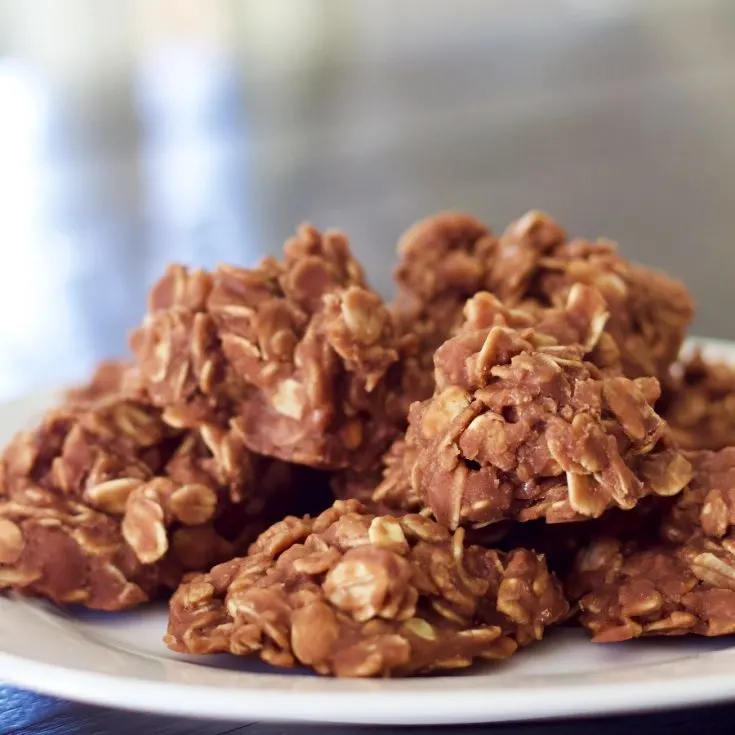 No Bake Cookies Plated 2