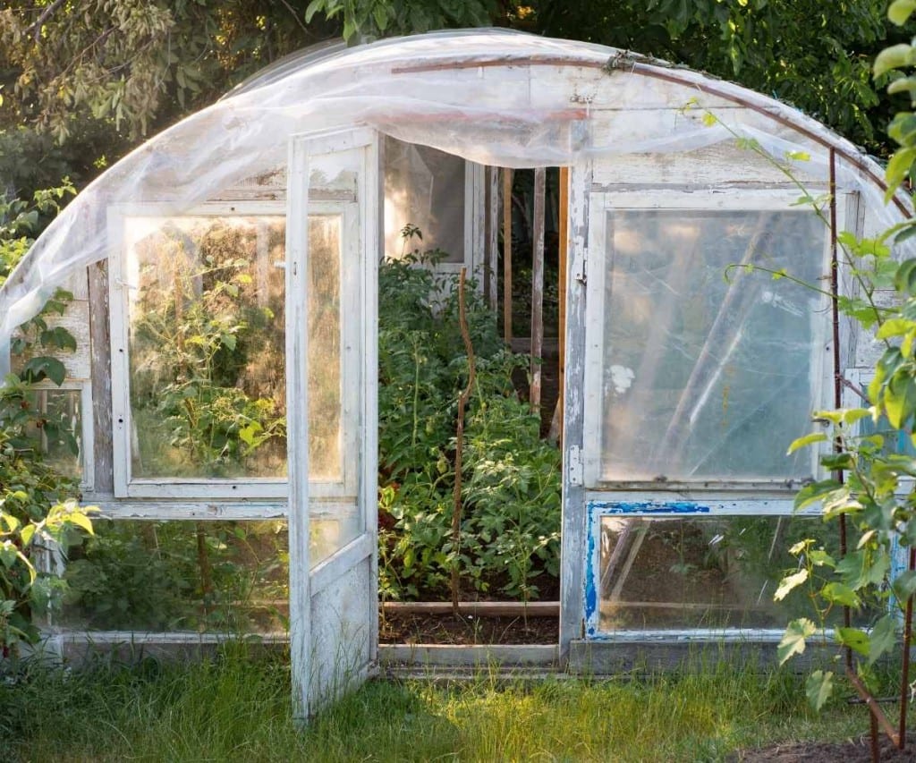 Best Greenhouse Plastic 6 Greenhouse Plastic