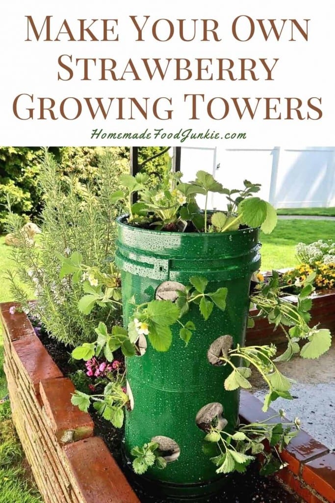 Easy Diy Strawberry Towers Tutorial 18 Make Your Own Strawberry Growing Towers-Pin Image