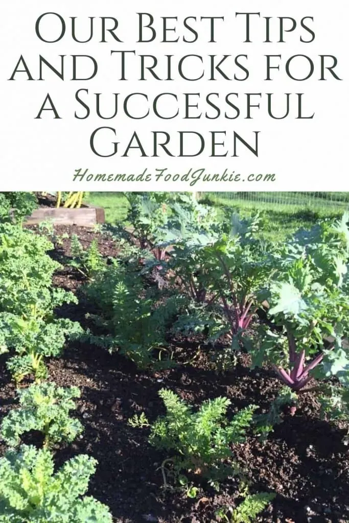 9 Tips For Gardening Success 8 Our Best Tips And Tricks For A Successful Garden-Pin Image