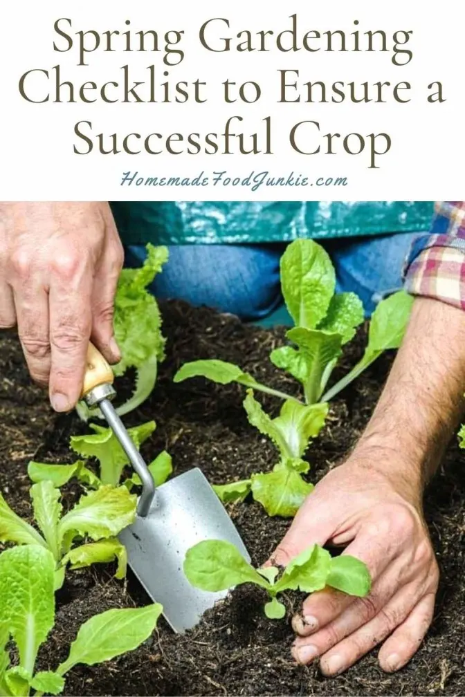 Spring Gardening Checklist To Ensure A Successful Crop-Pin Image