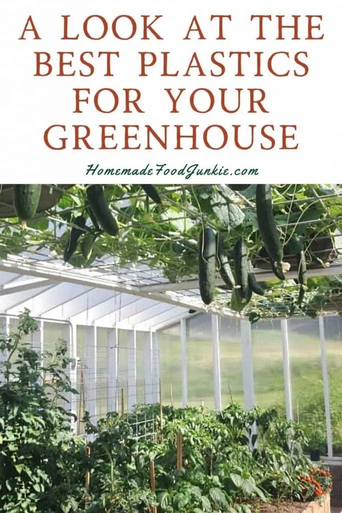 A Look At The Best Plastics For Your Greenhouse-Pin Image