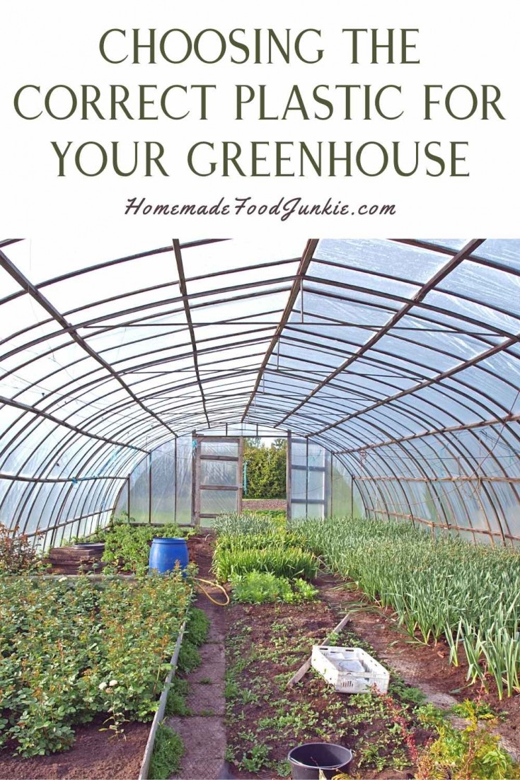 Best Greenhouse Plastic Homemade Food Junkie