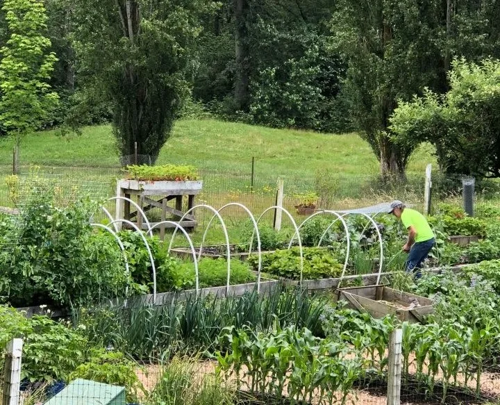 dave in garden