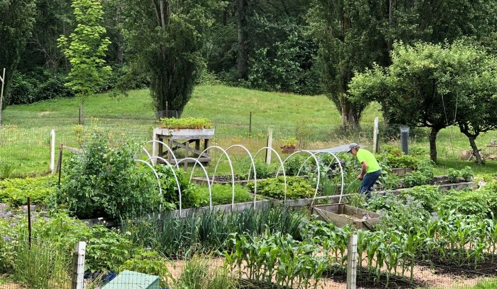dave in garden