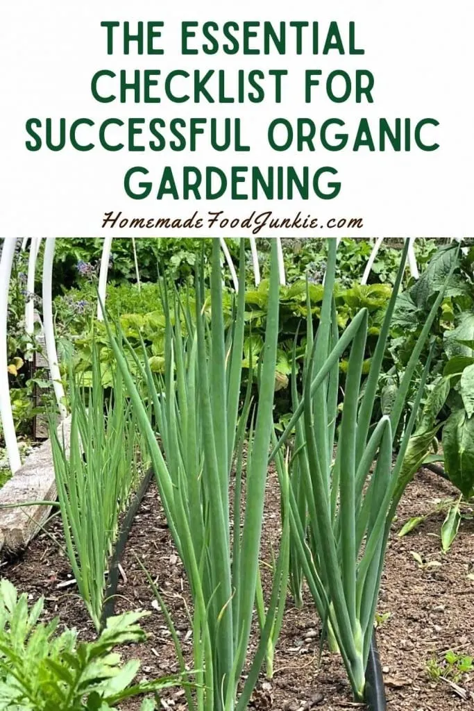 The Essential Checklist For Successful Organic Gardening-Pin Image