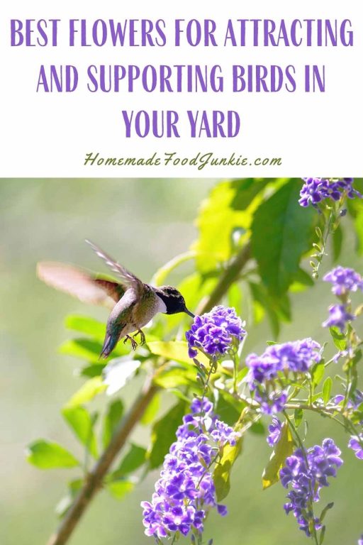 Five Bushes To Attract and Support Birds In Your Yard Homemade Food