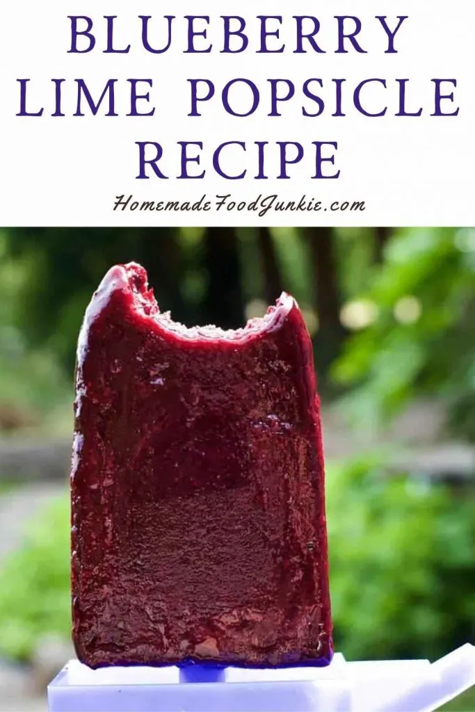 Blueberry Coconut Lime Homemade Popsicles 11 Blueberry Lime Popsicle Recipe-Pin Image
