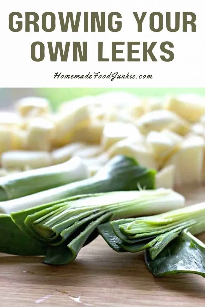 Growing Your Own Leeks-Pin Image